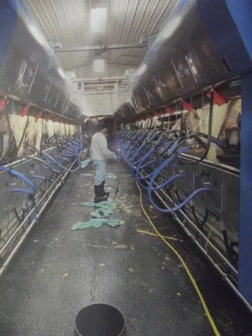 $3,915,000 | 208784 River Run Road, Stratford, WI 54484