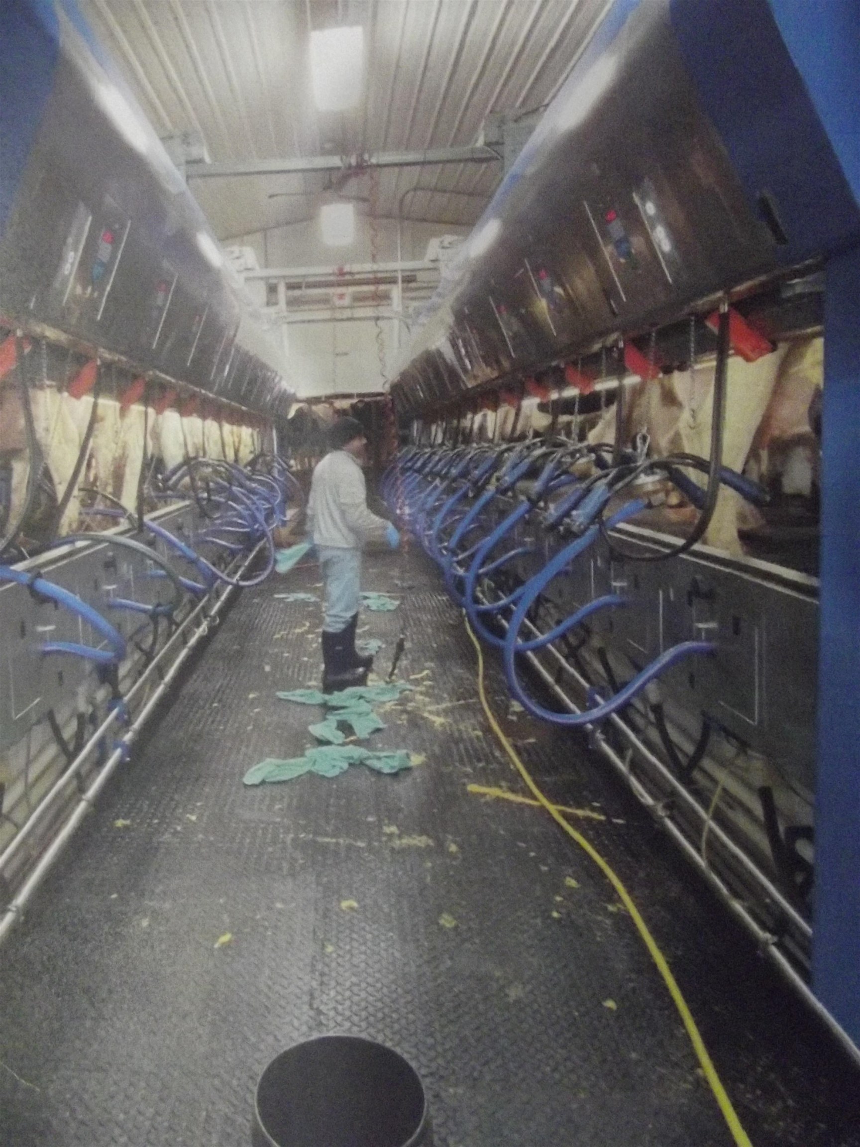 208784 River Run Road Stratford, WI 54484 - Photo 3 of 20