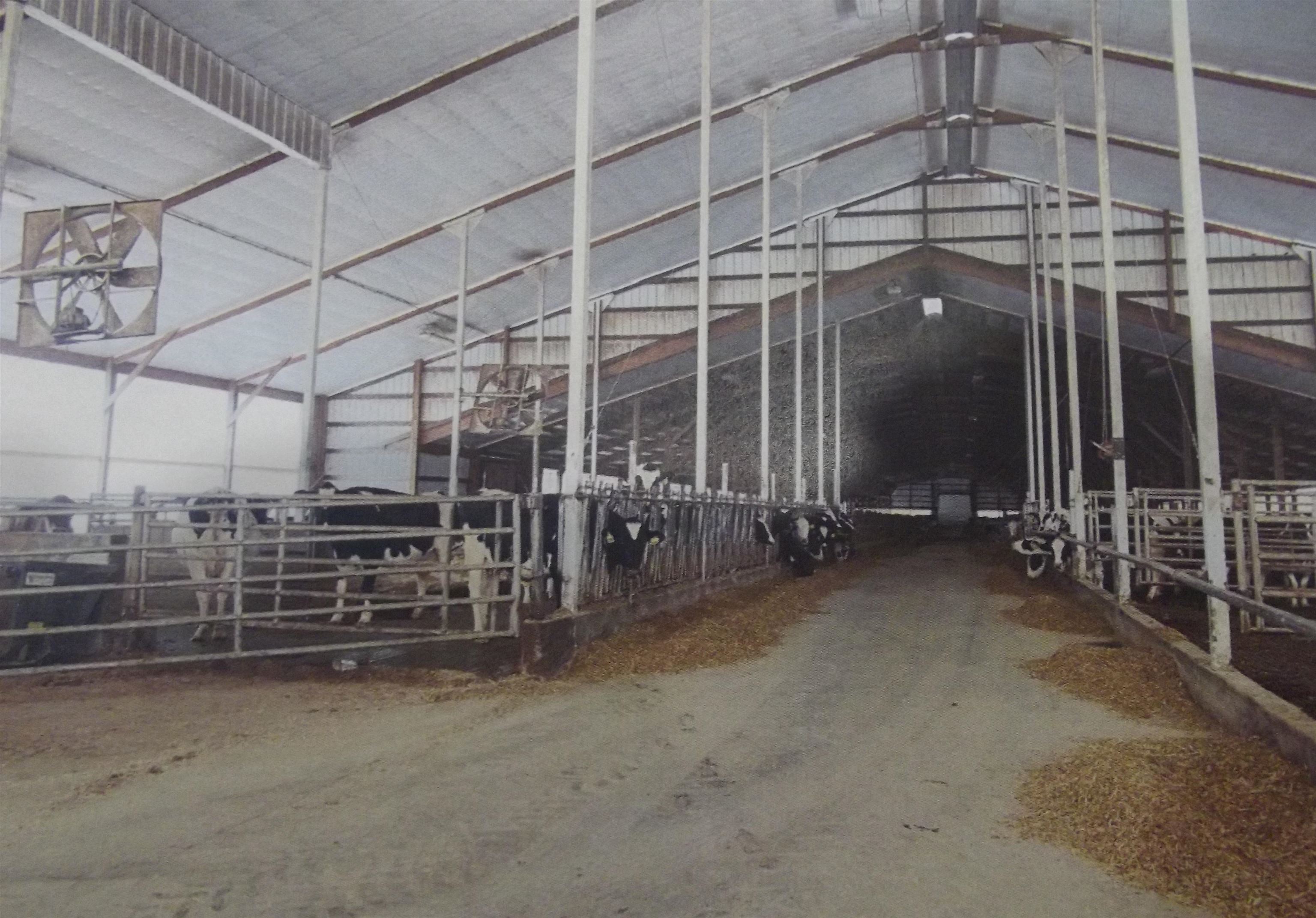 208784 River Run Road Stratford, WI 54484 - Photo 4 of 20