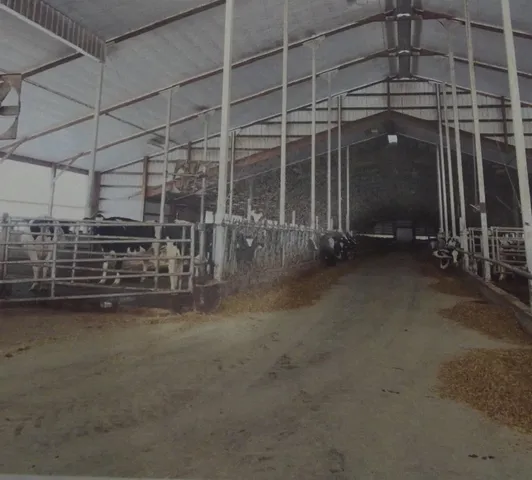 $3,915,000 | 208784 River Run Road, Stratford, WI 54484