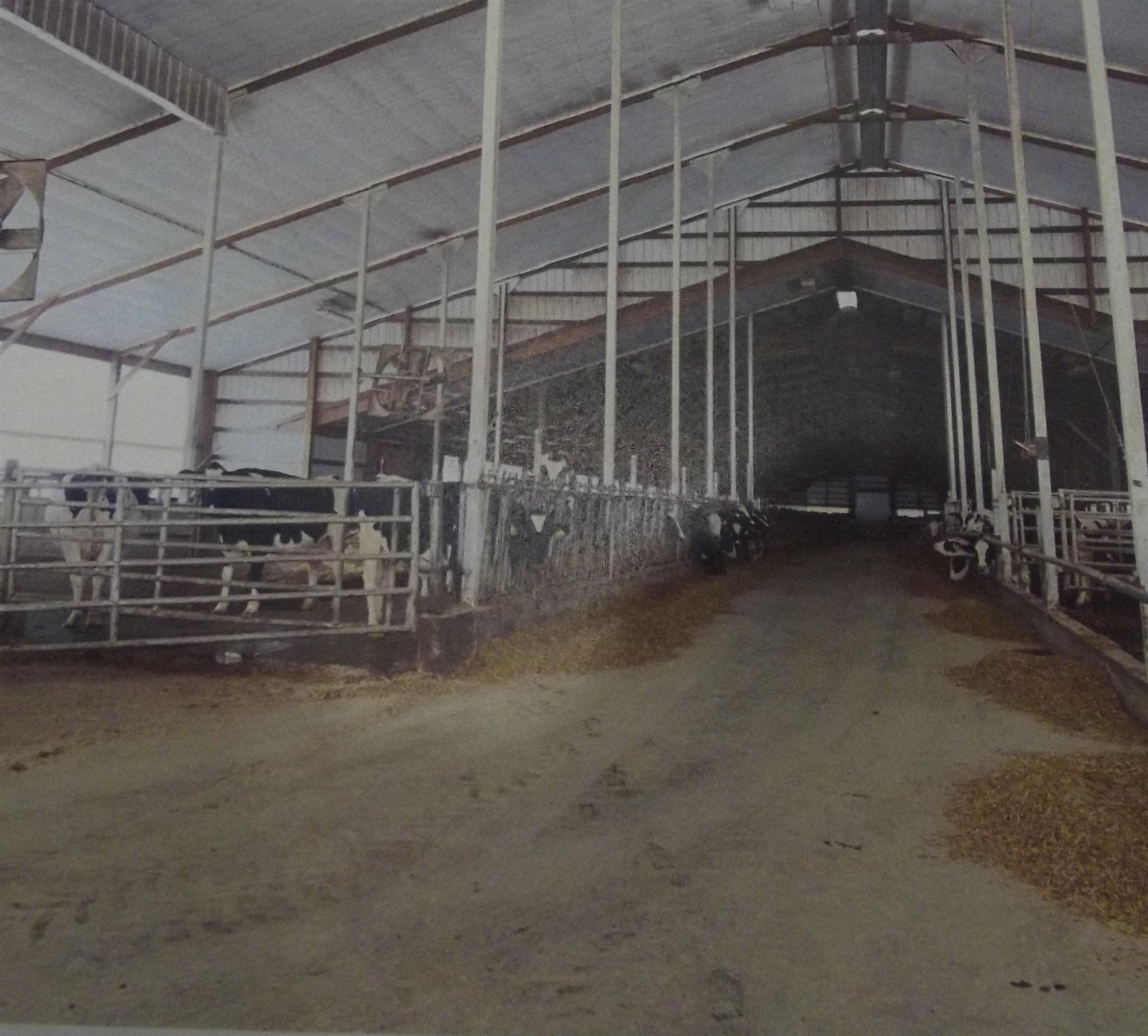 208784 River Run Road Stratford, WI 54484 - Photo 5 of 20