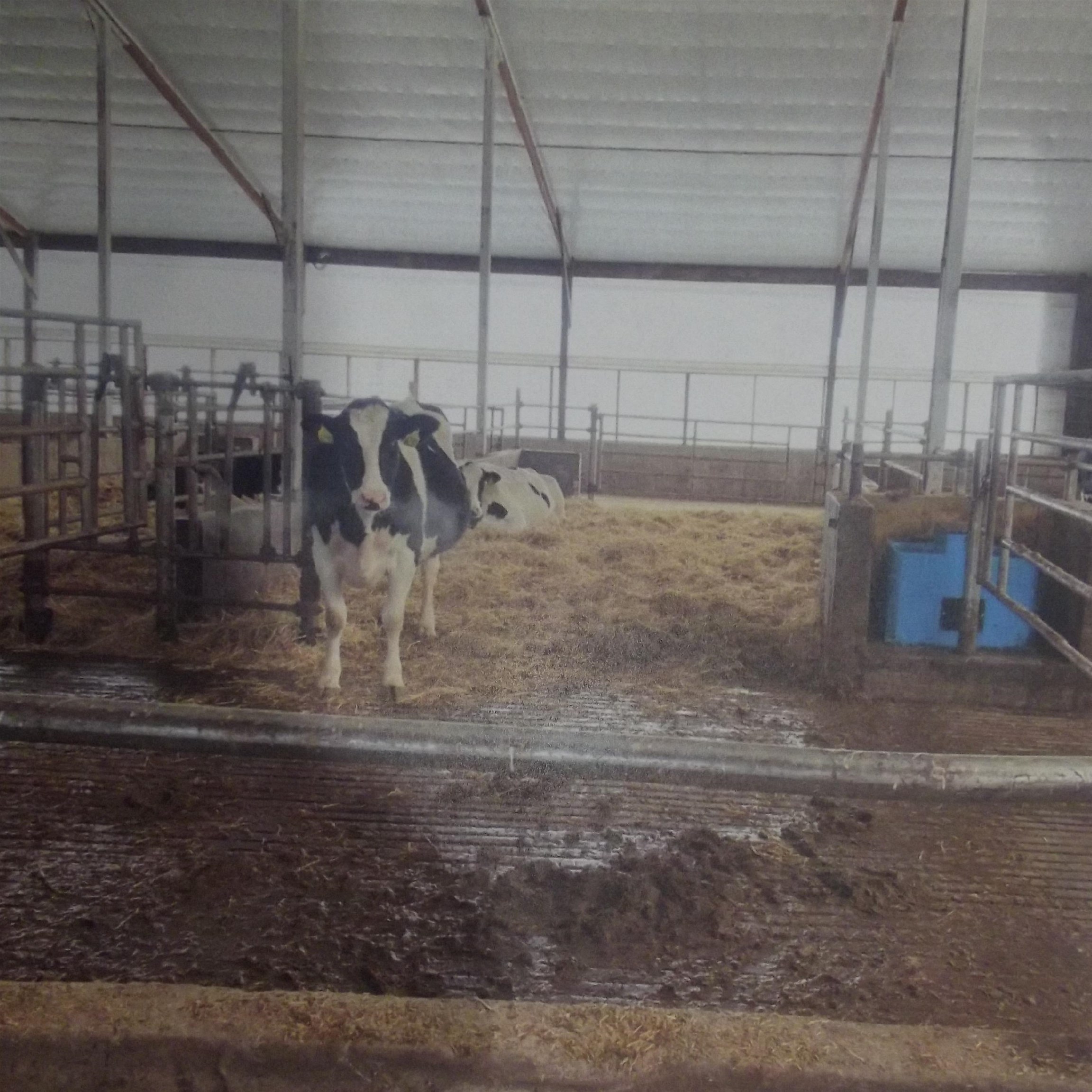 208784 River Run Road Stratford, WI 54484 - Photo 6 of 20