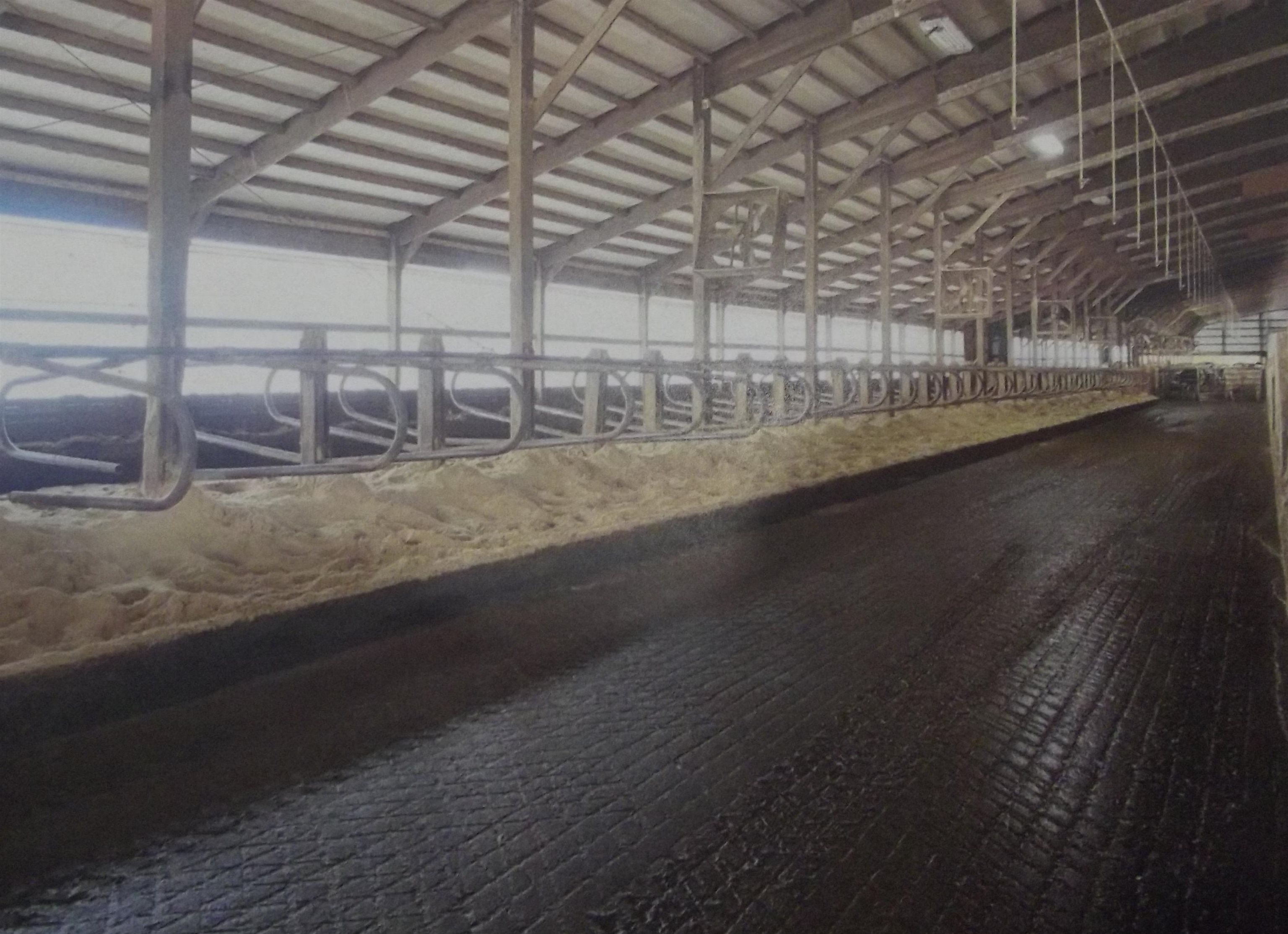 208784 River Run Road Stratford, WI 54484 - Photo 7 of 20