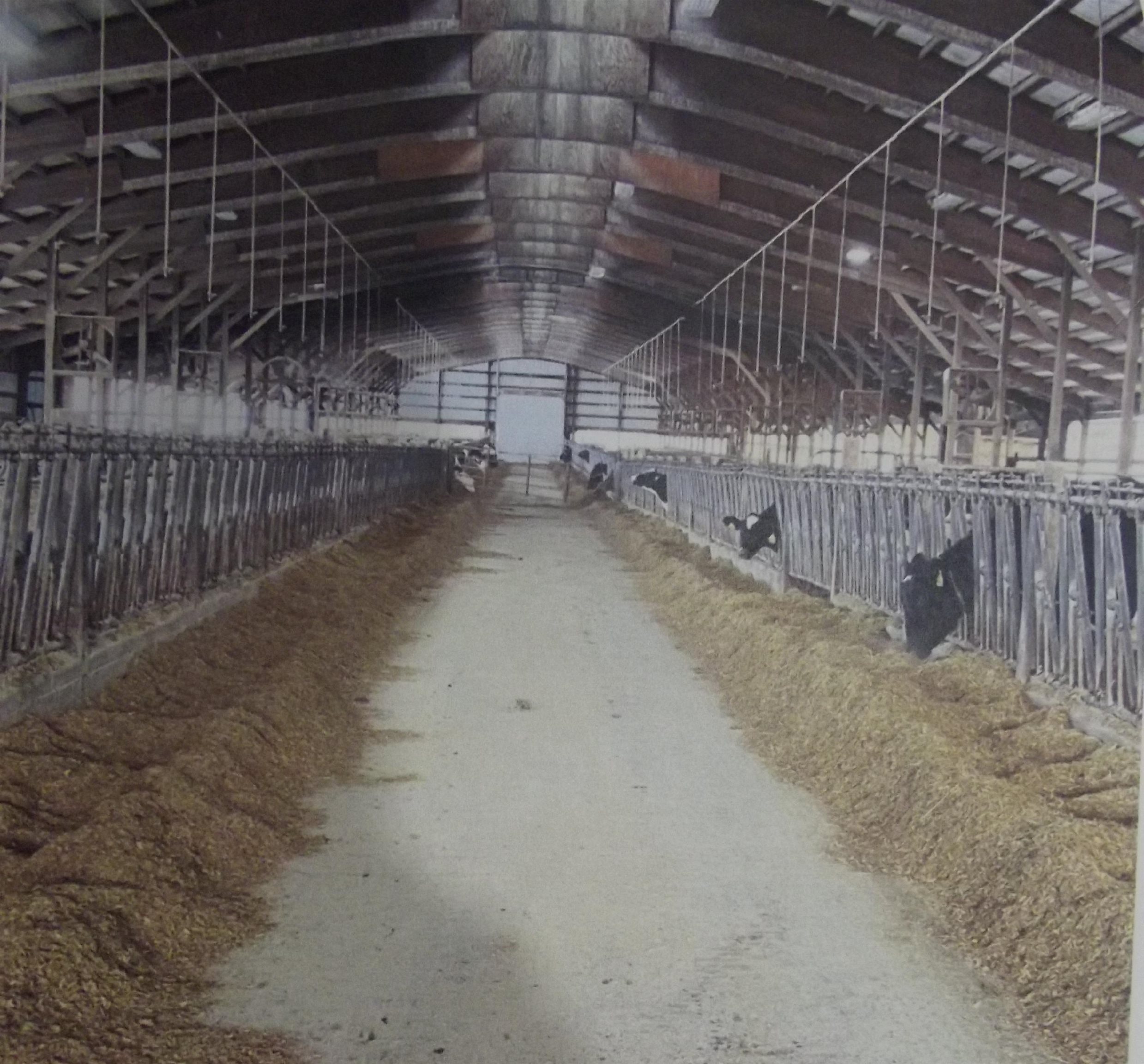 208784 River Run Road Stratford, WI 54484 - Photo 8 of 20