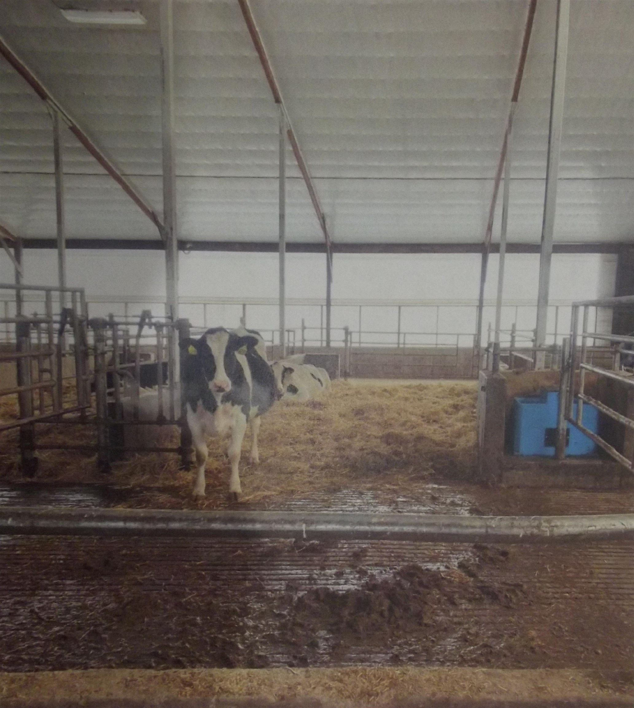 208784 River Run Road Stratford, WI 54484 - Photo 9 of 20