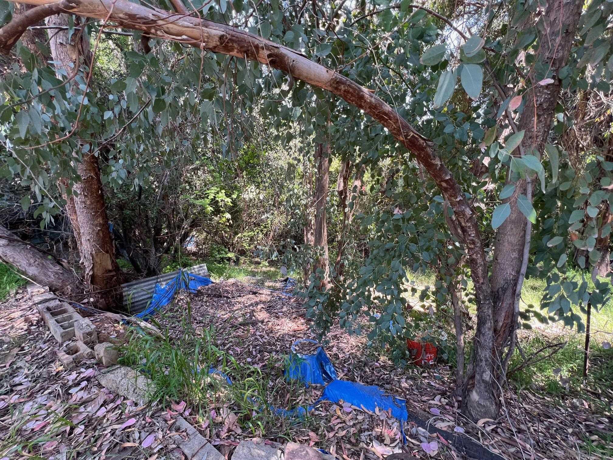 11875 Johnson Lake Road Lakeside, CA 92040 - Photo 11 of 22 a view of a pathway with a tree