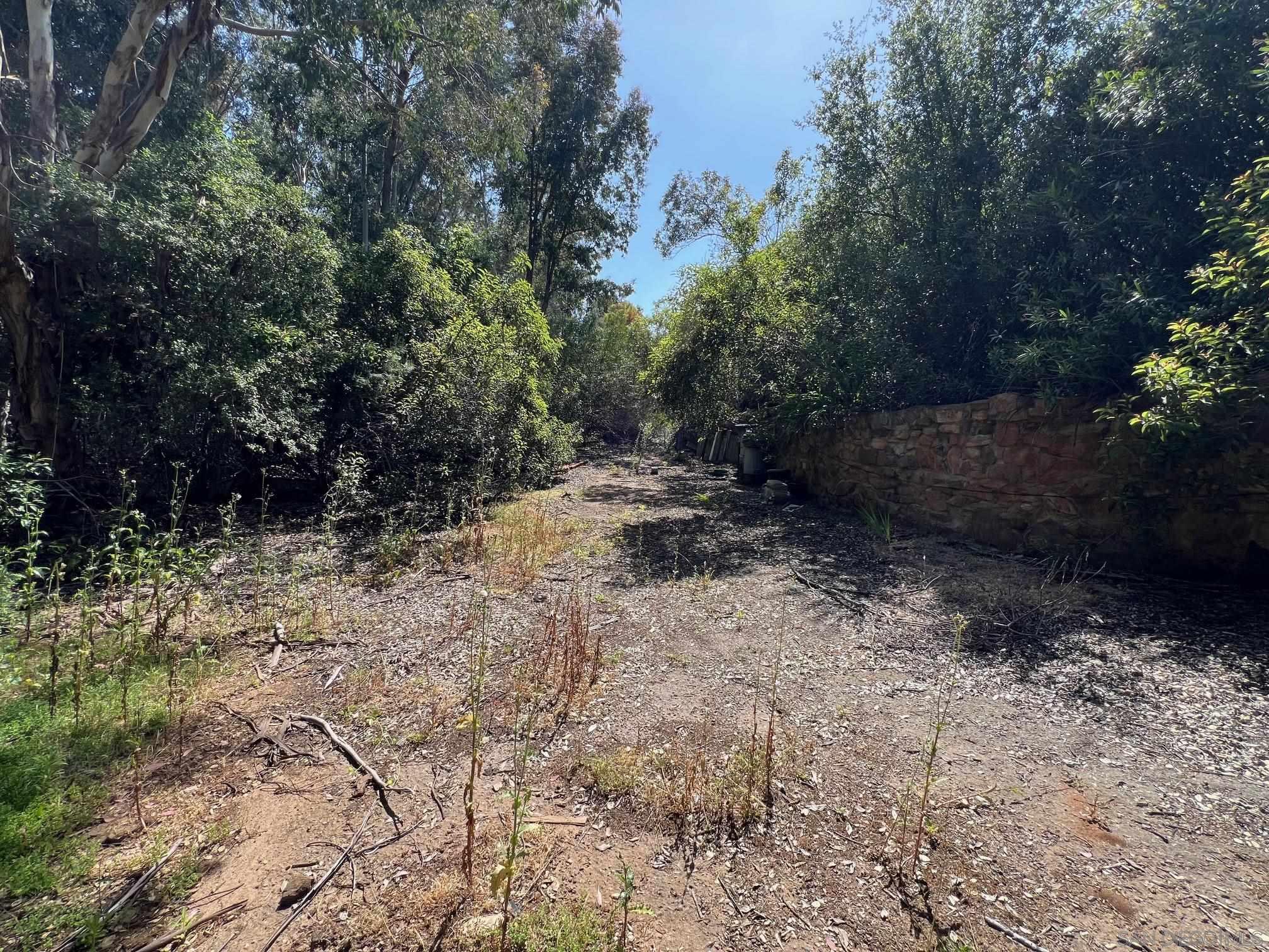 11875 Johnson Lake Road Lakeside, CA 92040 - Photo 3 of 22 a view of a yard with plants and trees