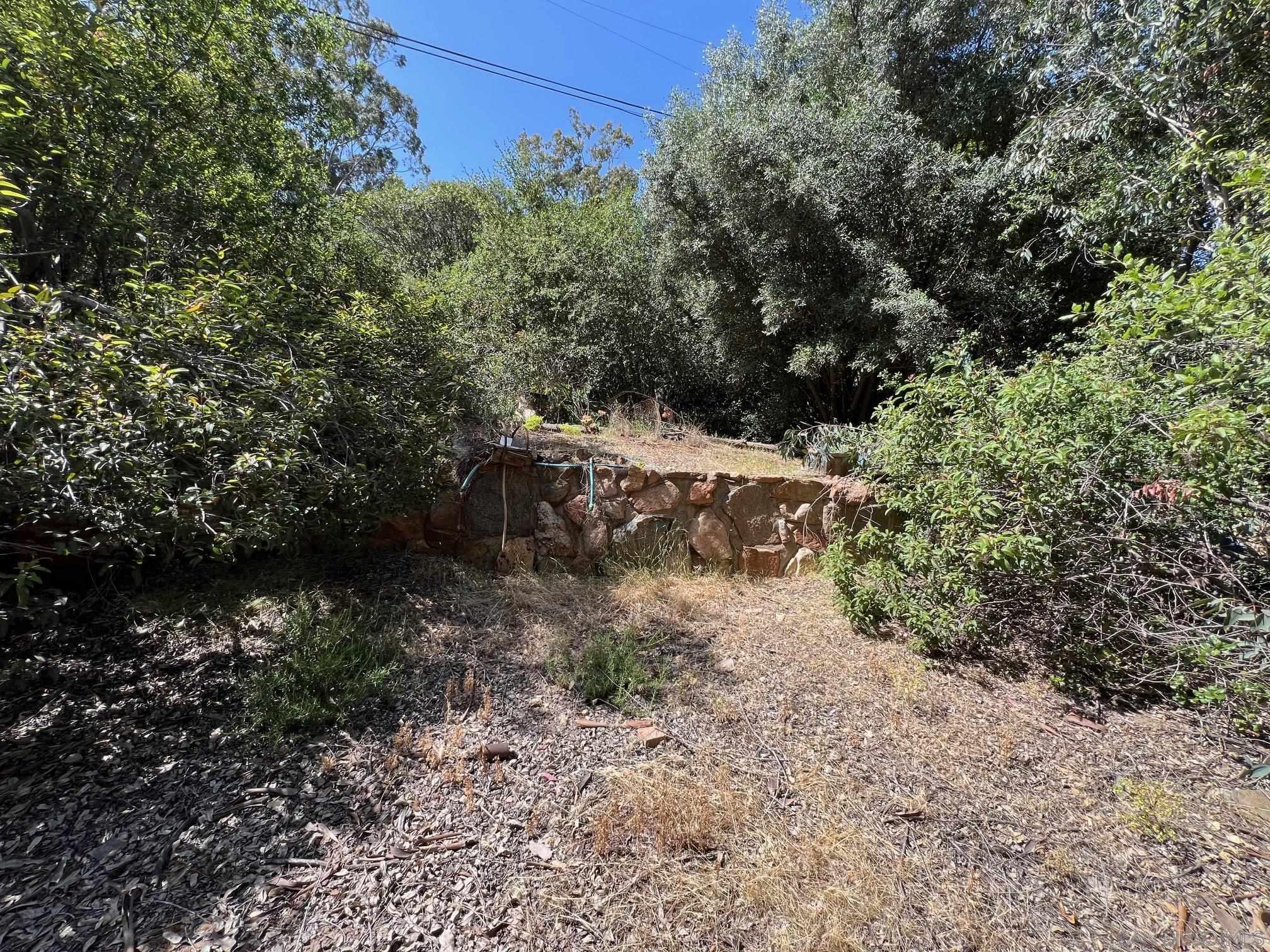 11875 Johnson Lake Road Lakeside, CA 92040 - Photo 8 of 22 a view of a yard with a tree