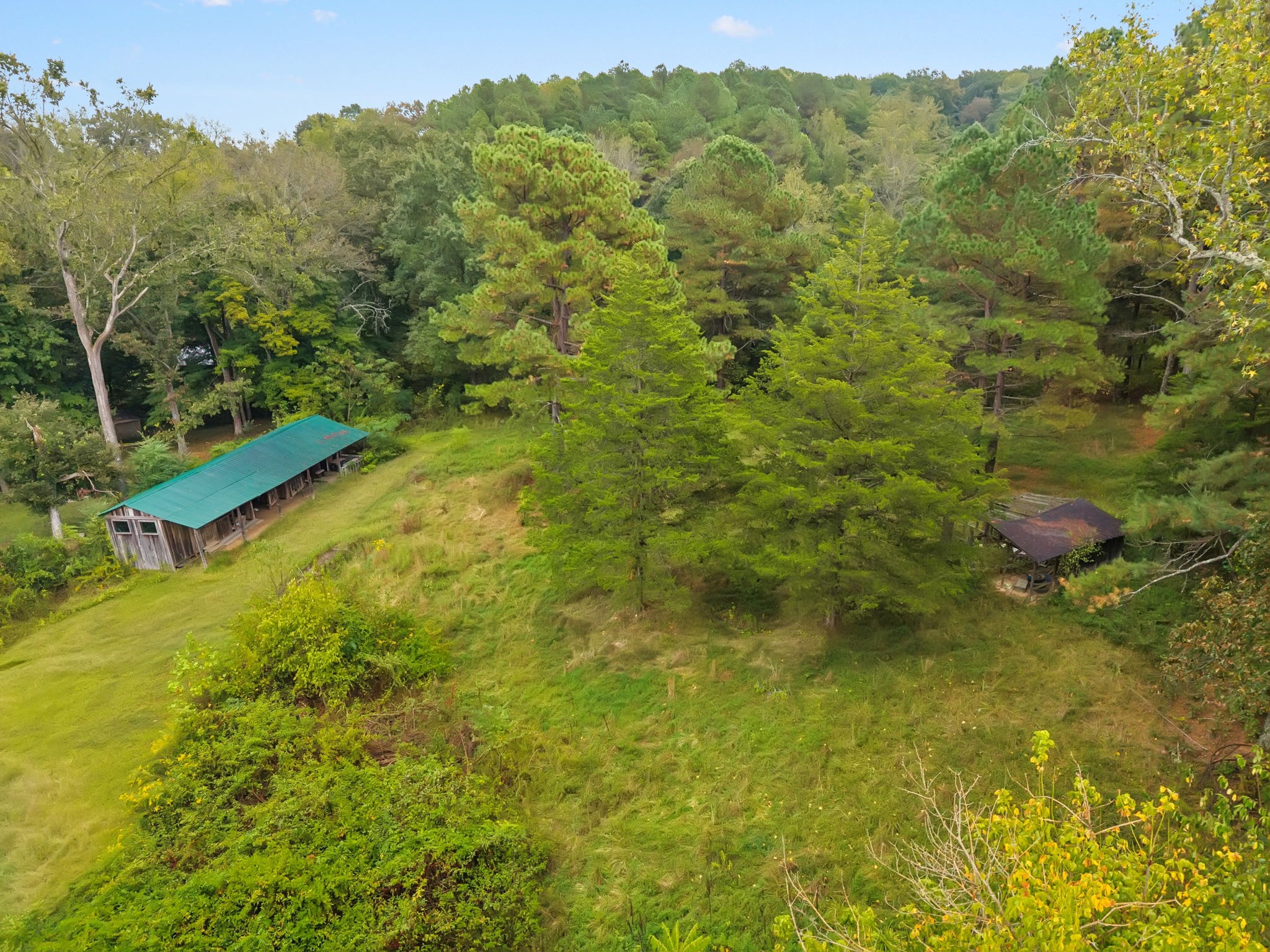 1826 Palmyra Road Palmyra, TN 37142 - Photo 33 of 41