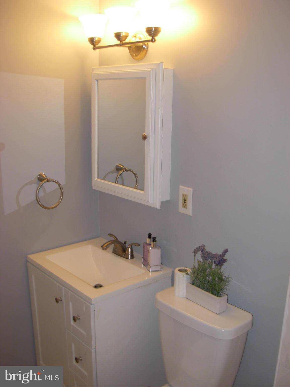 6230 Greeley Boulevard Springfield, VA 22152 - Photo 21 of 30 Bath