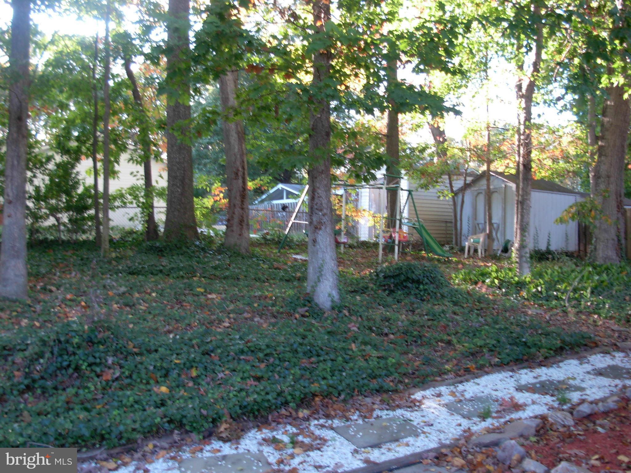 6230 Greeley Boulevard Springfield, VA 22152 - Photo 29 of 30 Exterior (Rear)