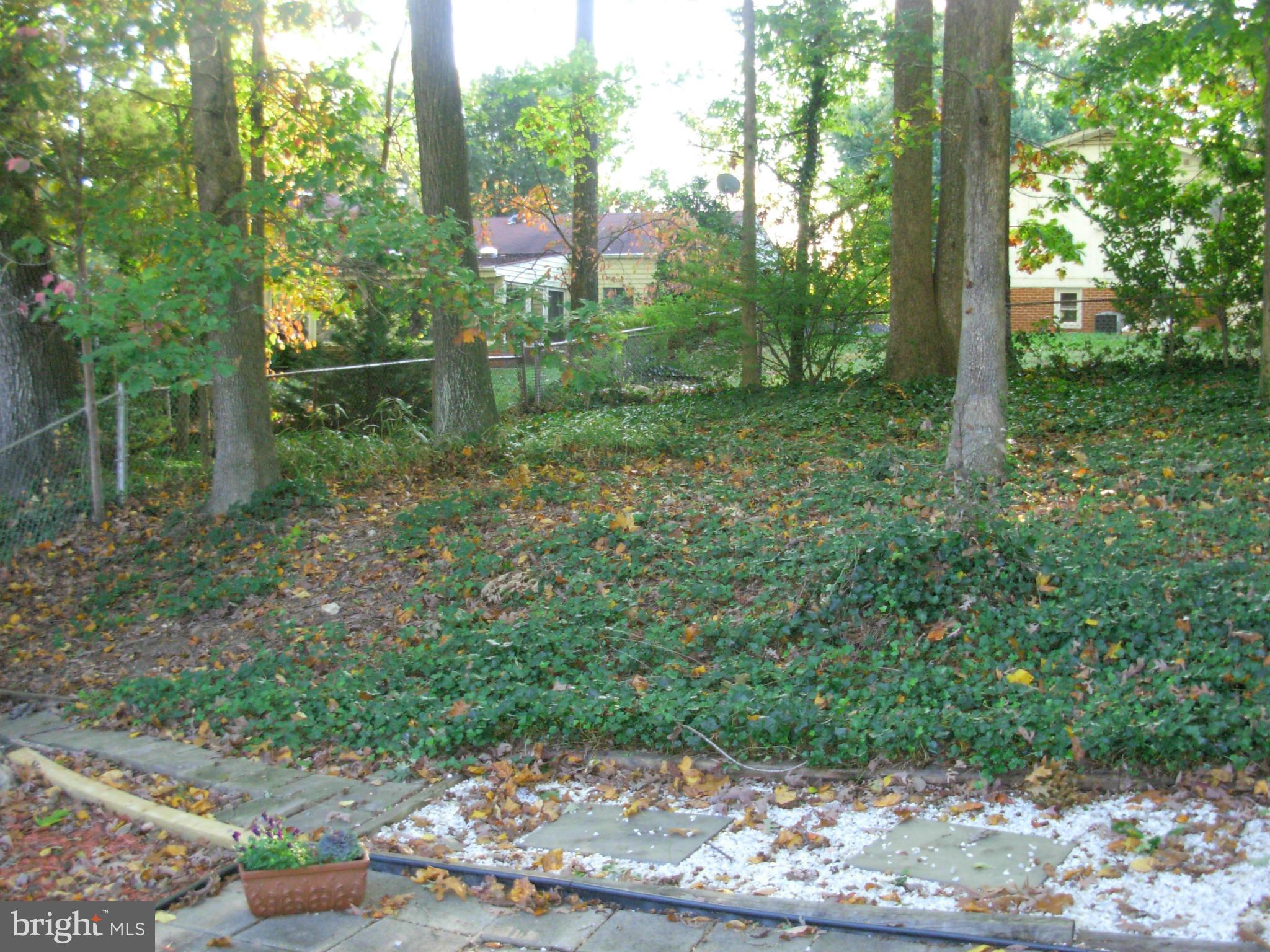 6230 Greeley Boulevard Springfield, VA 22152 - Photo 30 of 30 Exterior (Rear)