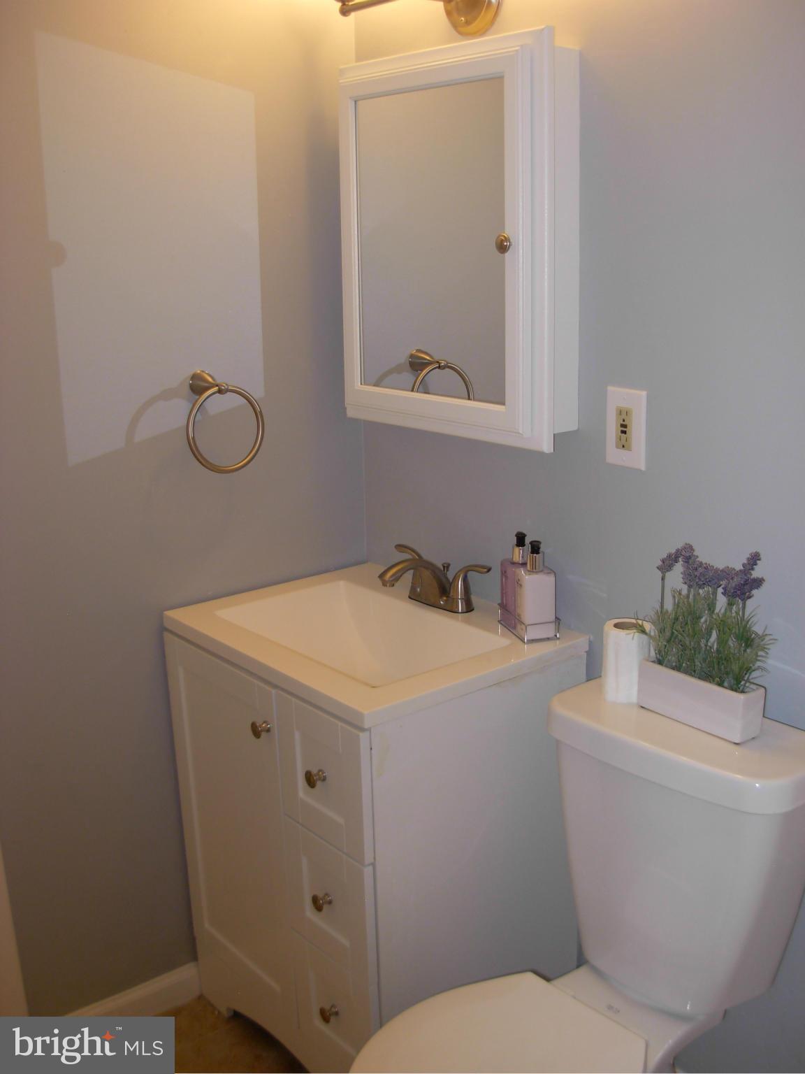 6230 Greeley Boulevard Springfield, VA 22152 - Photo 10 of 30 Bath (Master)