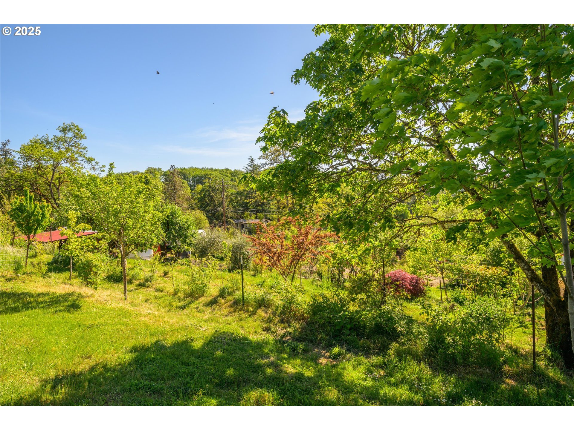 1172 Old Town Loop Road Oakland, OR 97462 - Photo 43 of 48 Gallery Image 43