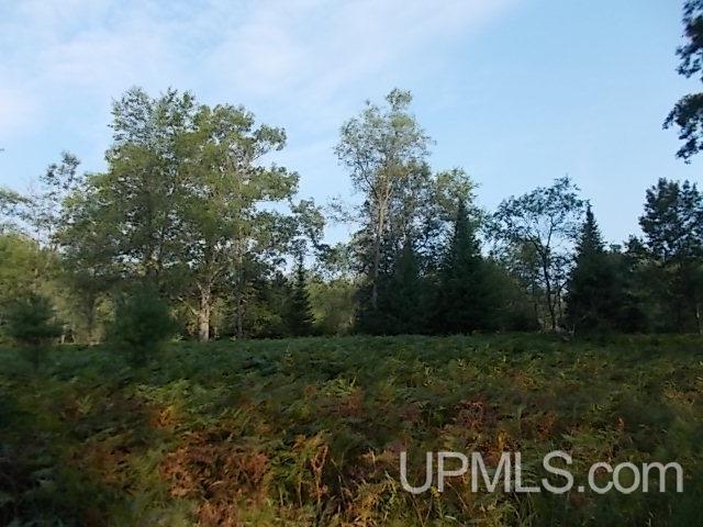 T-wi Woods Road Florence, WI 54121 - Photo 2 of 9
