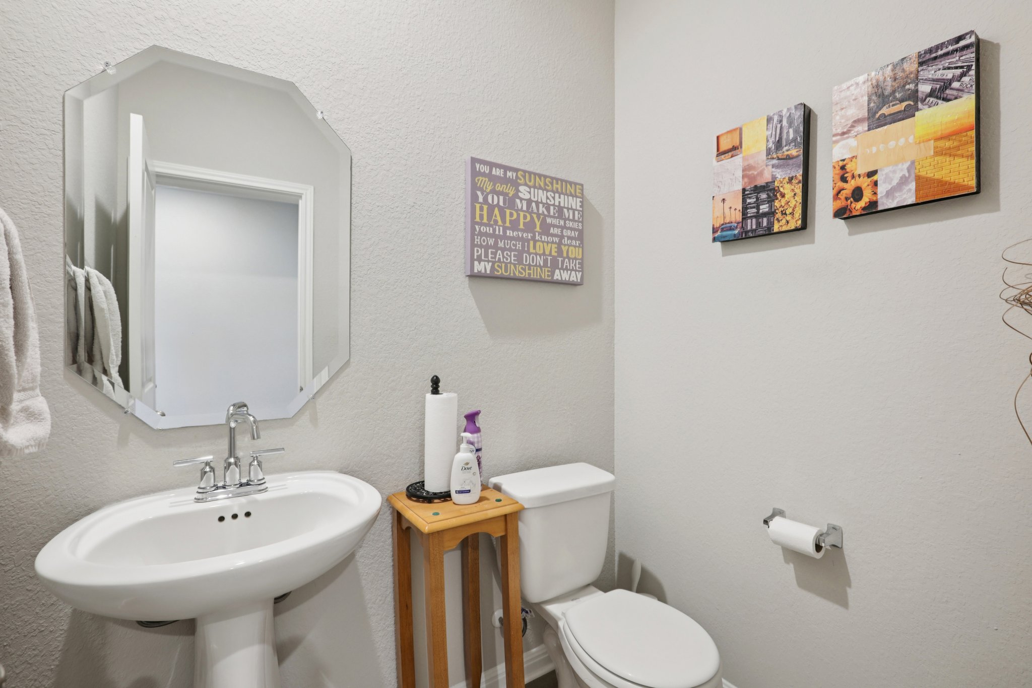 415 Osier Pass Hutto, TX 78634 - Photo 15 of 27