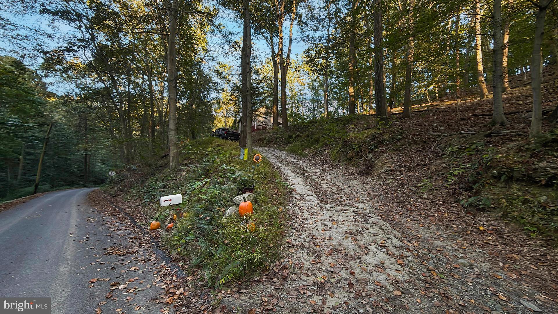117 Grove Road Delta, PA 17314 - Photo 12 of 23 Autumn path adorned with pumpkins.