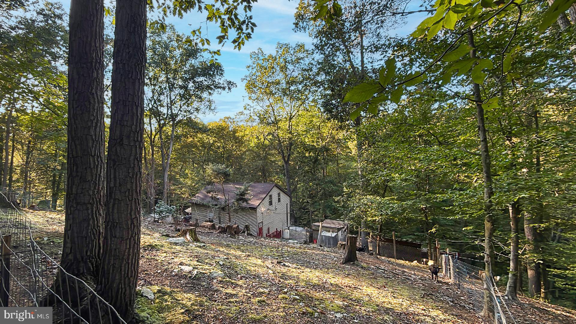 117 Grove Road Delta, PA 17314 - Photo 15 of 23 Secluded retreat nestled among the trees.