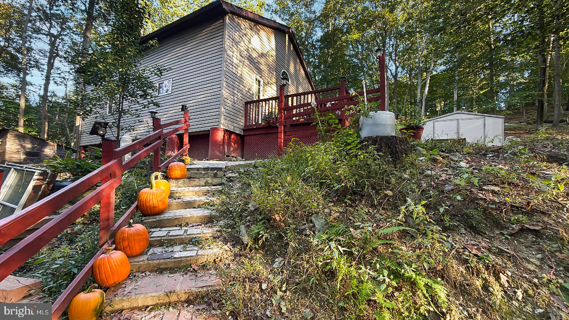 117 Grove Road Delta, PA 17314 - Photo 17 of 23 Charming home with autumnal pumpkin decor.