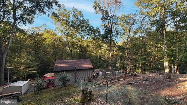 a view of a forest with trees in the background