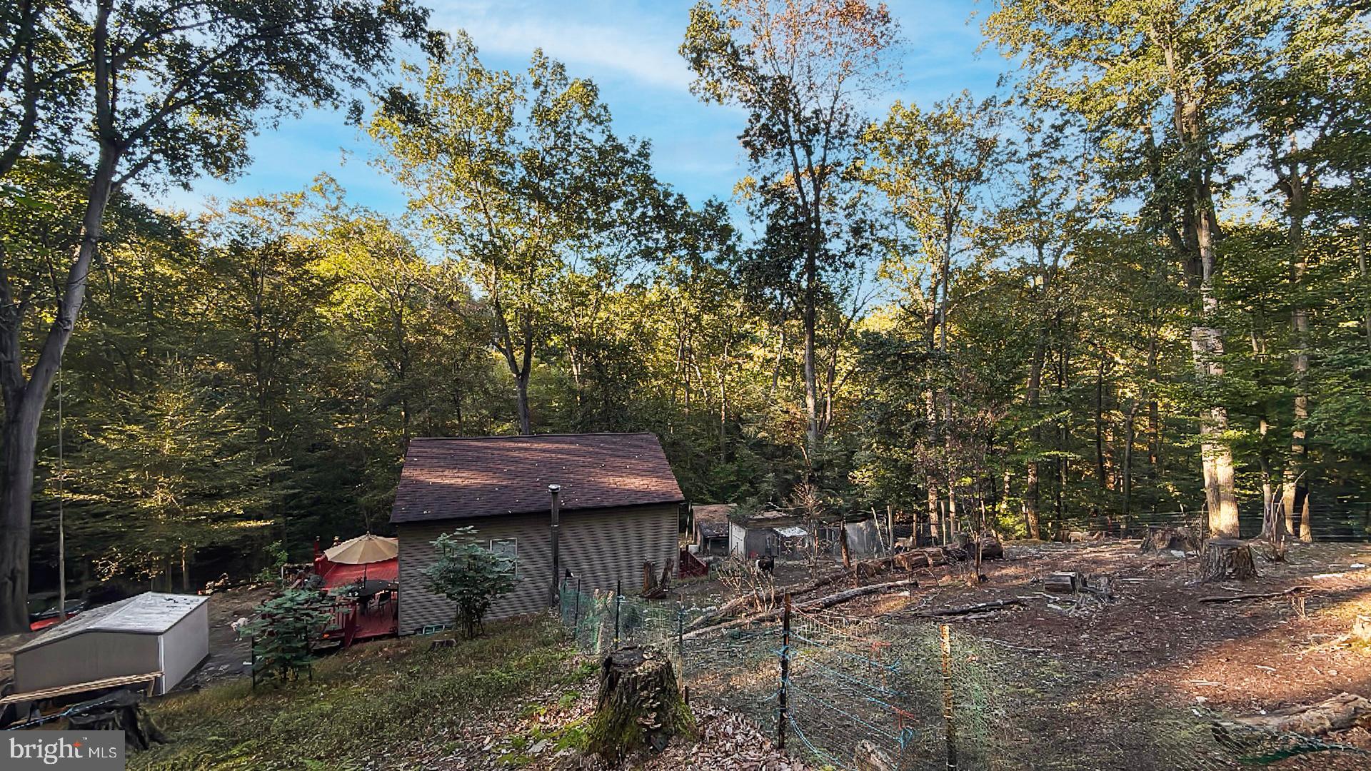 117 Grove Road Delta, PA 17314 - Photo 20 of 23 Secluded retreat nestled in lush greenery.