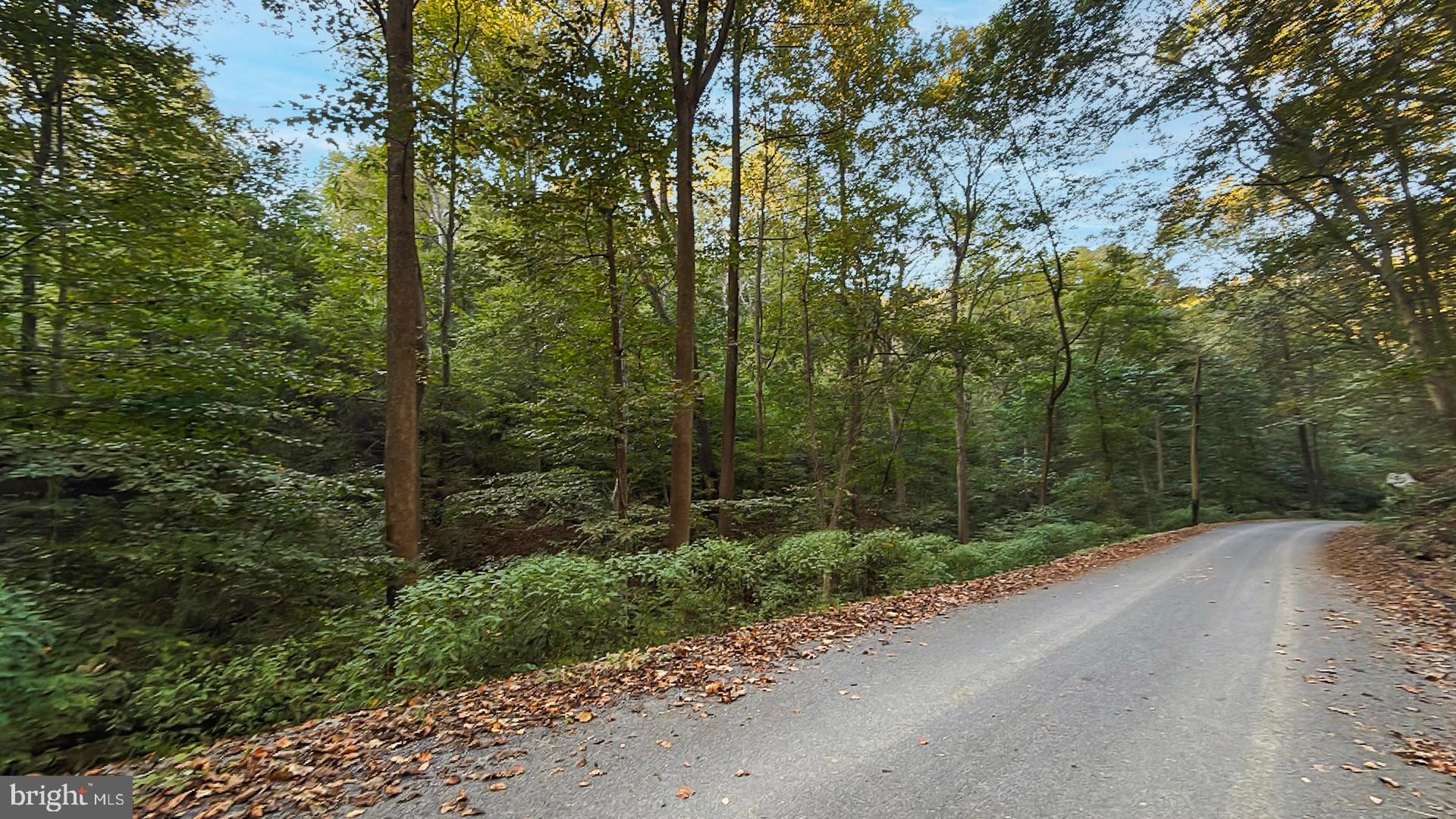 117 Grove Road Delta, PA 17314 - Photo 21 of 23 Serene forest road embraced by autumn hues.