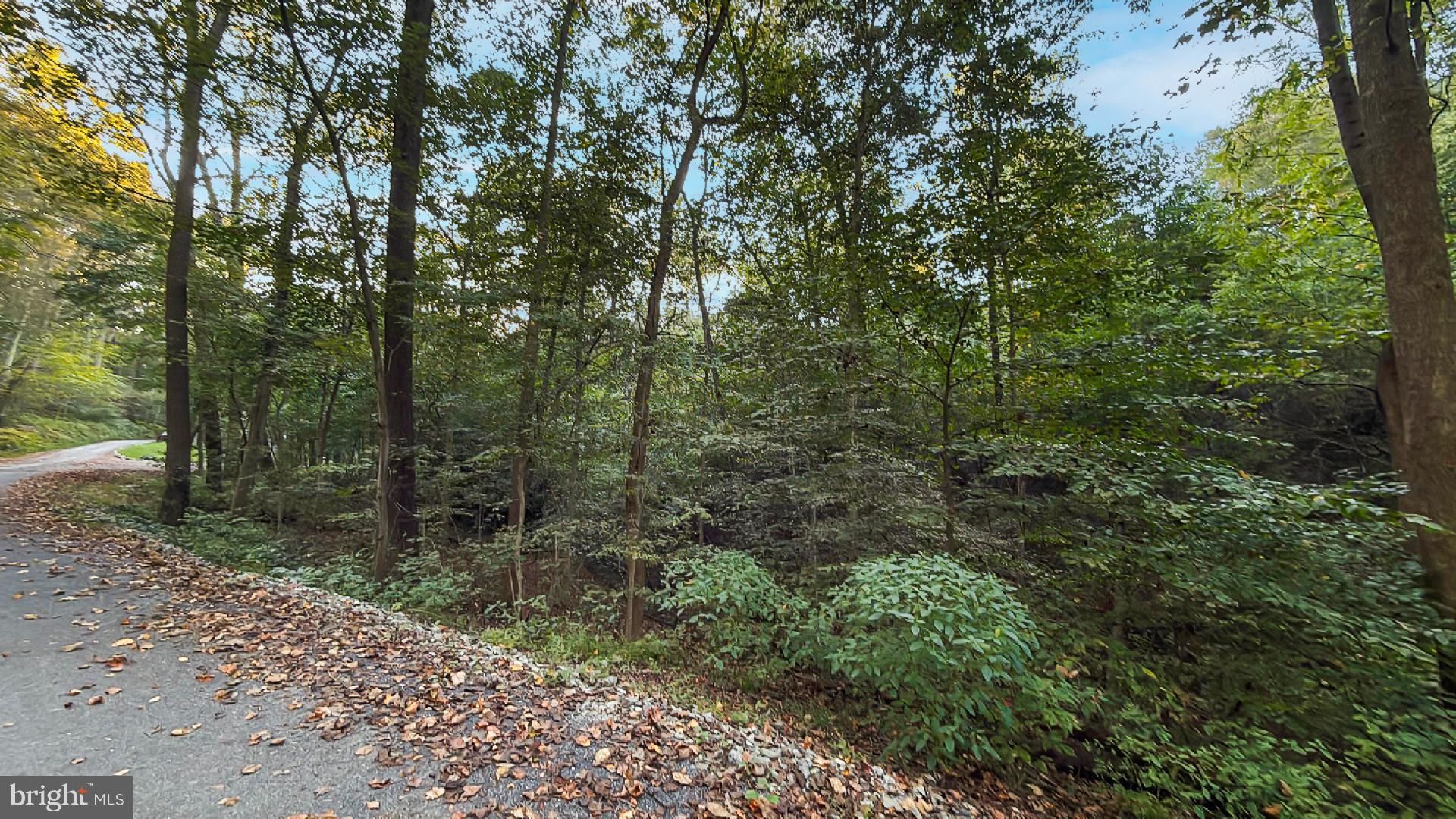 117 Grove Road Delta, PA 17314 - Photo 22 of 23 Serene woodland path in autumn hues.