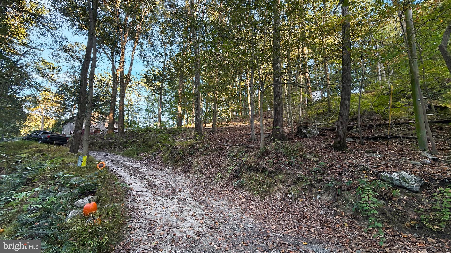 117 Grove Road Delta, PA 17314 - Photo 23 of 23 Serene woodland path with autumn hues.