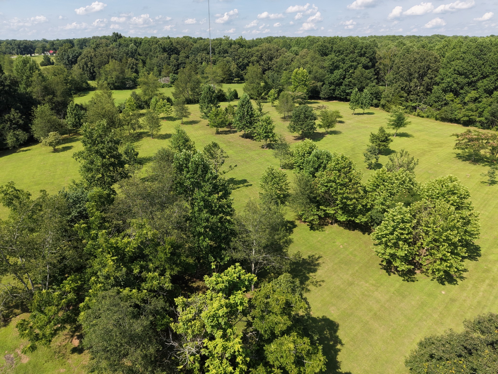 88 Kidd Road Lawrenceburg, TN 38464 - Photo 15 of 62