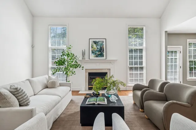 a living room with furniture a potted plant and a fireplace