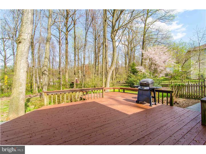 713 Brainerd Road Exton, PA 19341 - Photo 22 of 25 Deck
