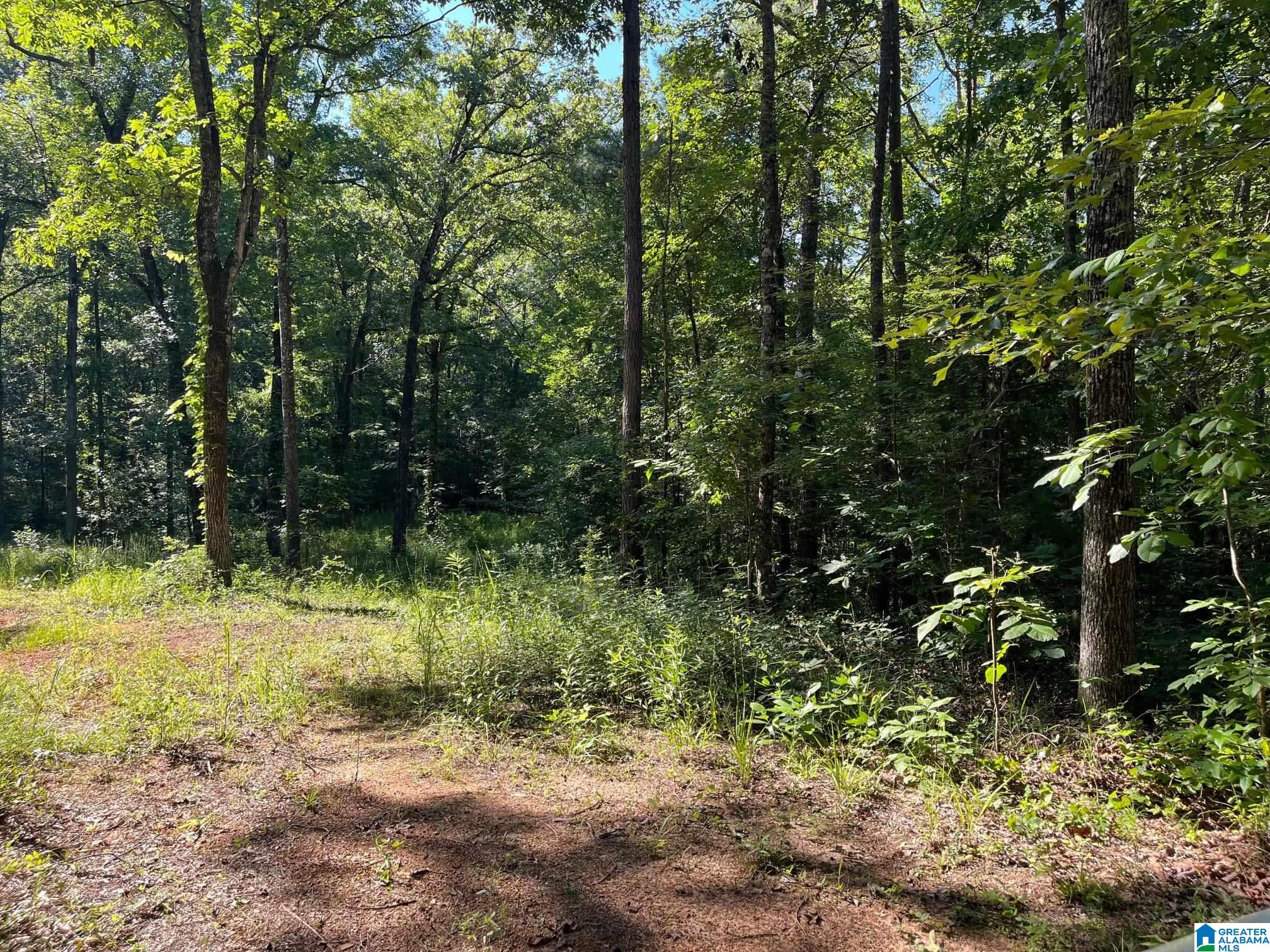 5170 Mcgowans Ferry Road Childersburg, AL 35044 - Photo 4 of 5