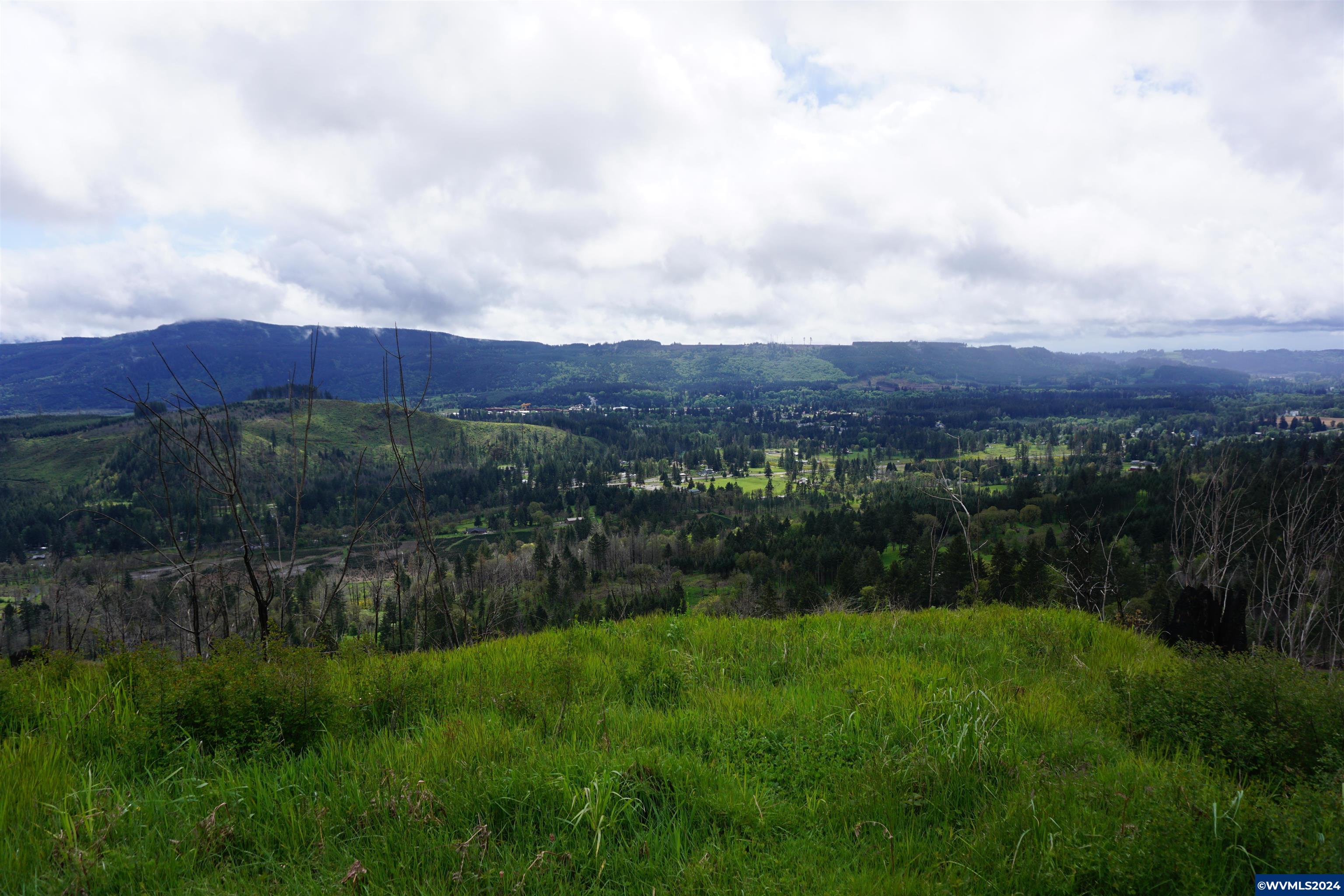 900 Wagner Road Lyons, OR 97358 - Photo 28 of 30