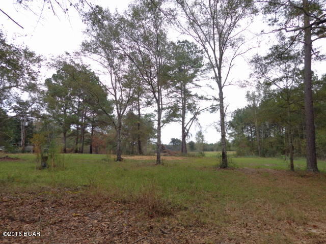 0 Charm Road Alford, FL 32420 - Photo 4 of 32