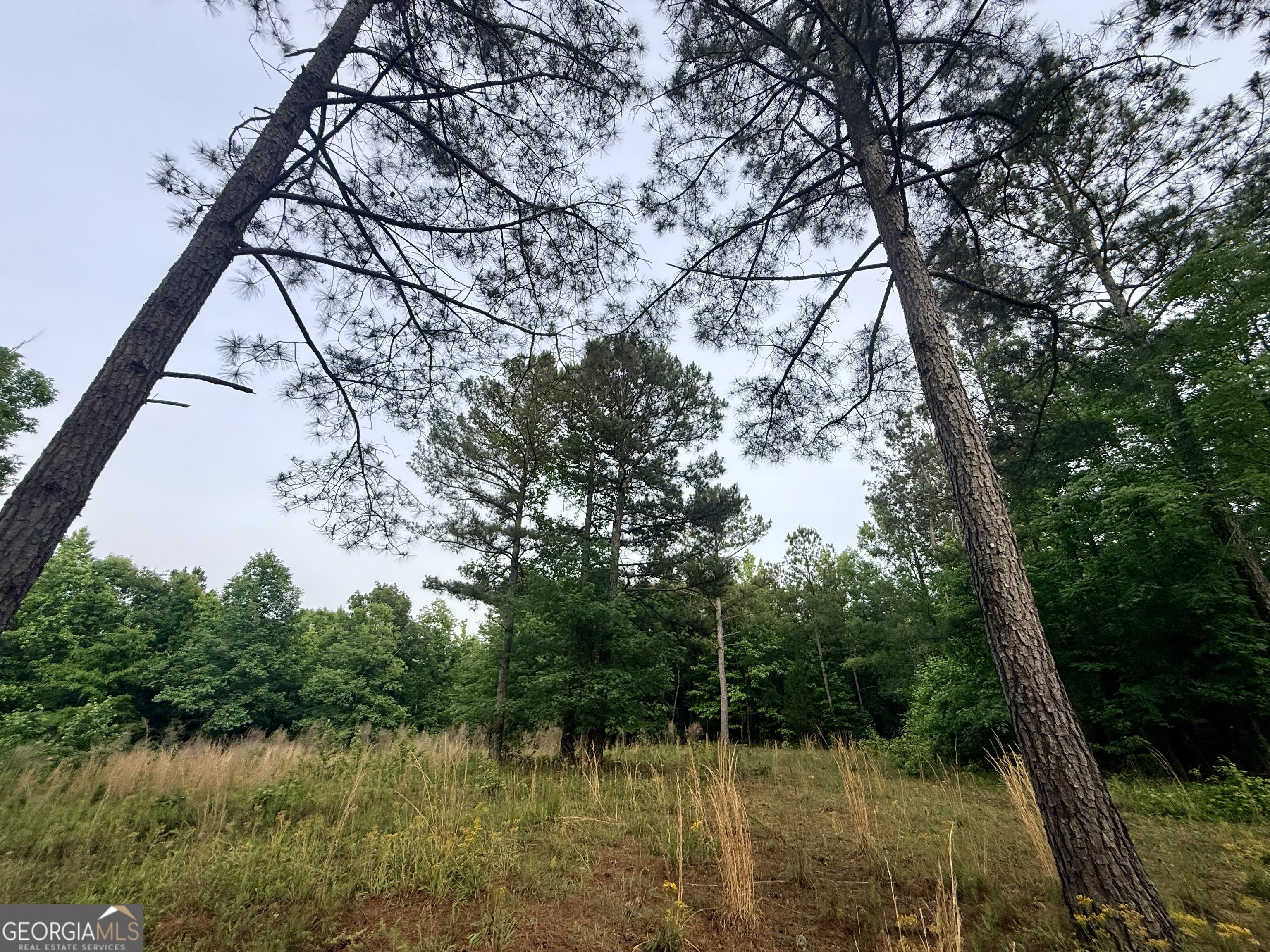 715 Fulsome Creek Road Sparta, GA 31087 - Photo 42 of 117