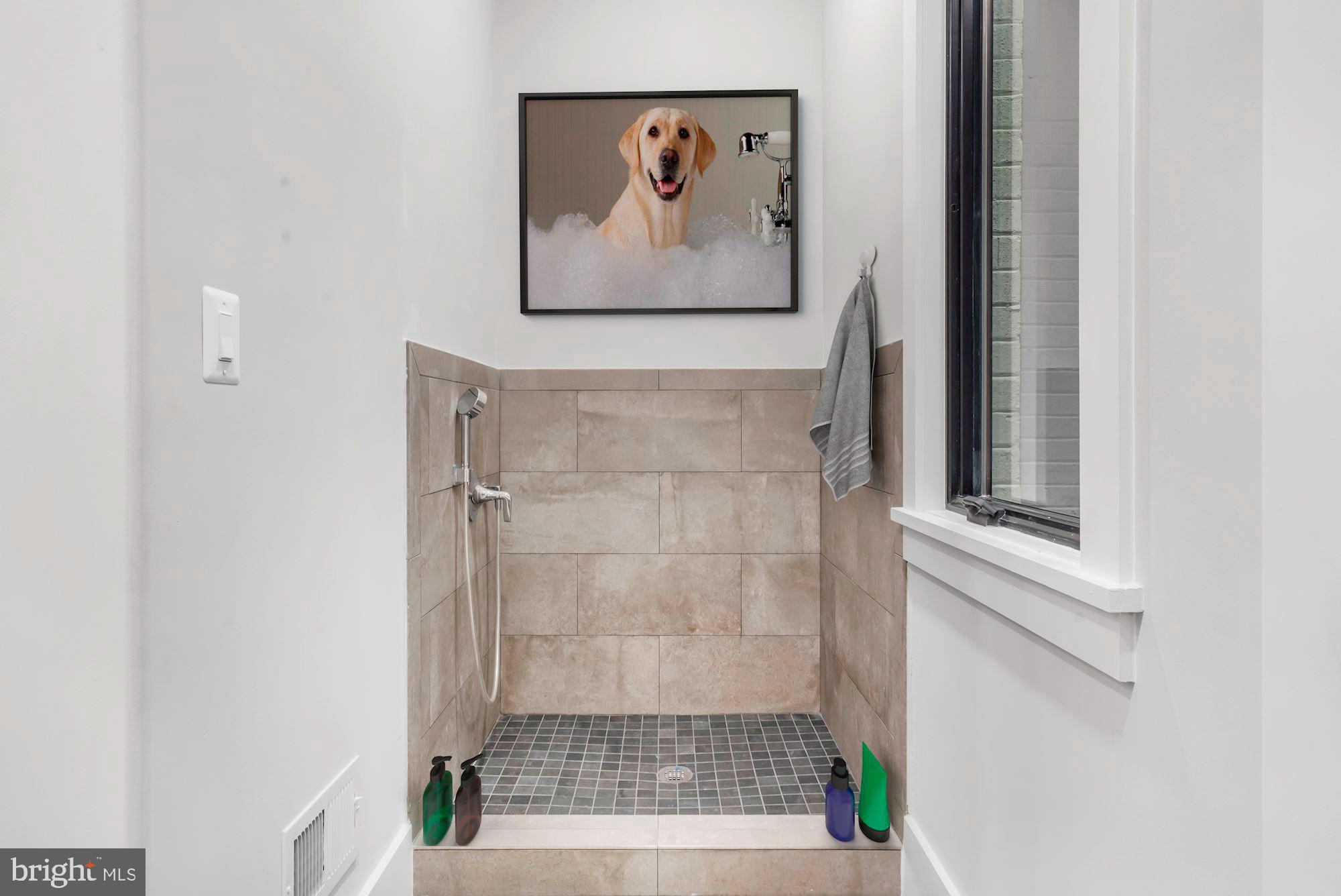 925 Saigon Road McLean, VA 22102 - Photo 43 of 50 Convenient Wash Station / Dog Wash
