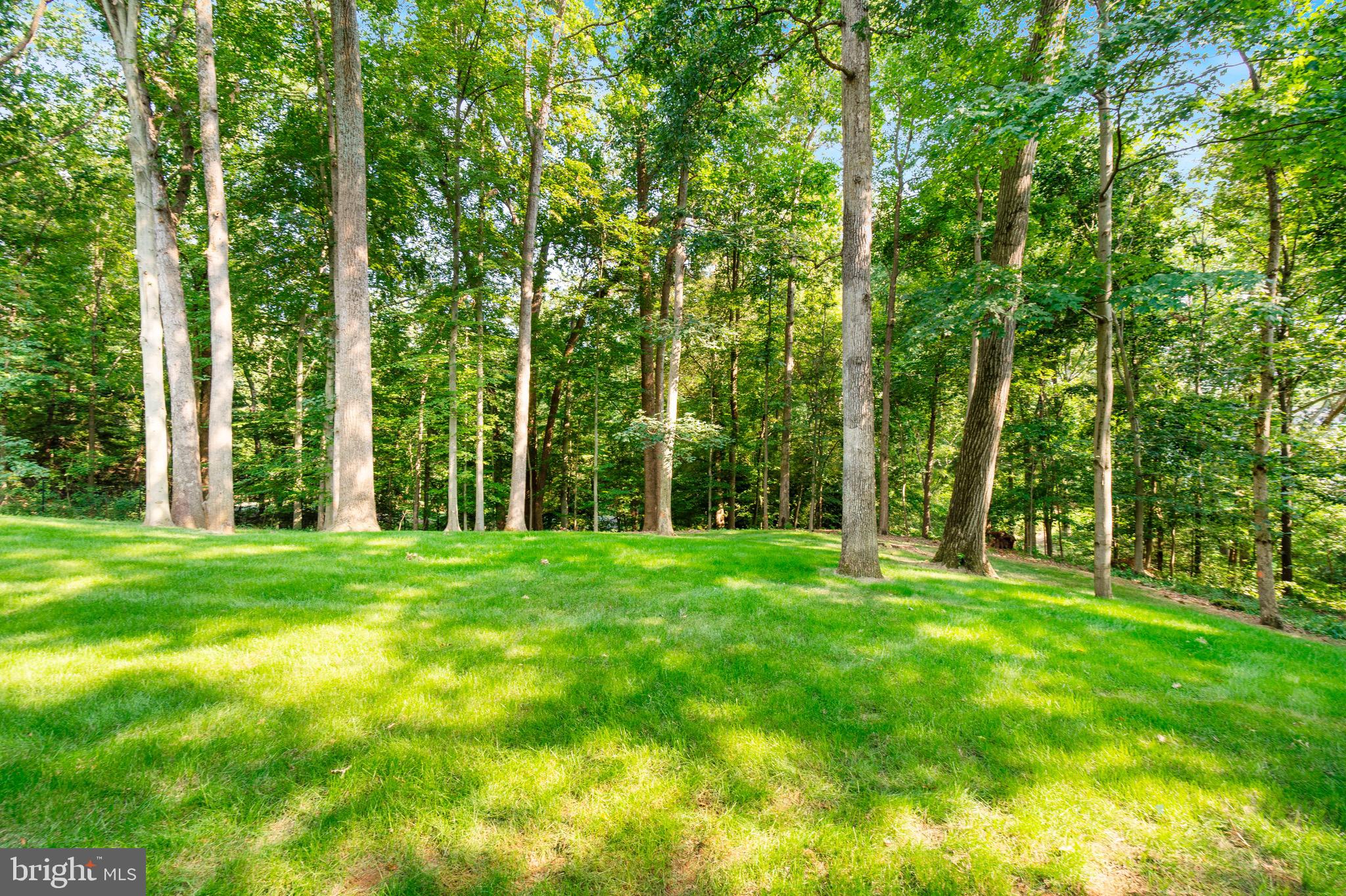 925 Saigon Road McLean, VA 22102 - Photo 47 of 50 Wooded Backyard