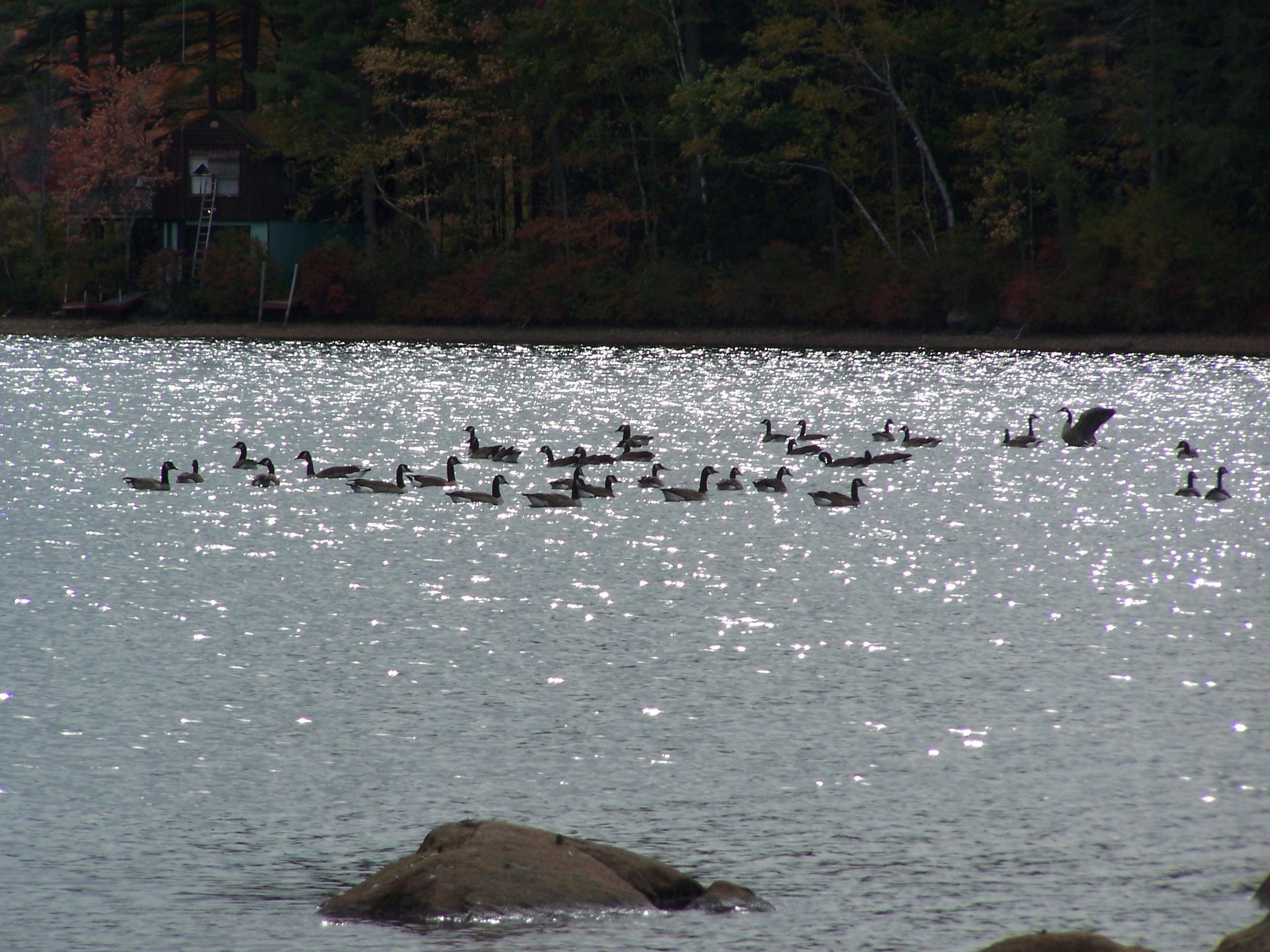 700 Allen Pond Road Greene, ME 04236 - Photo 32 of 36 101_7975