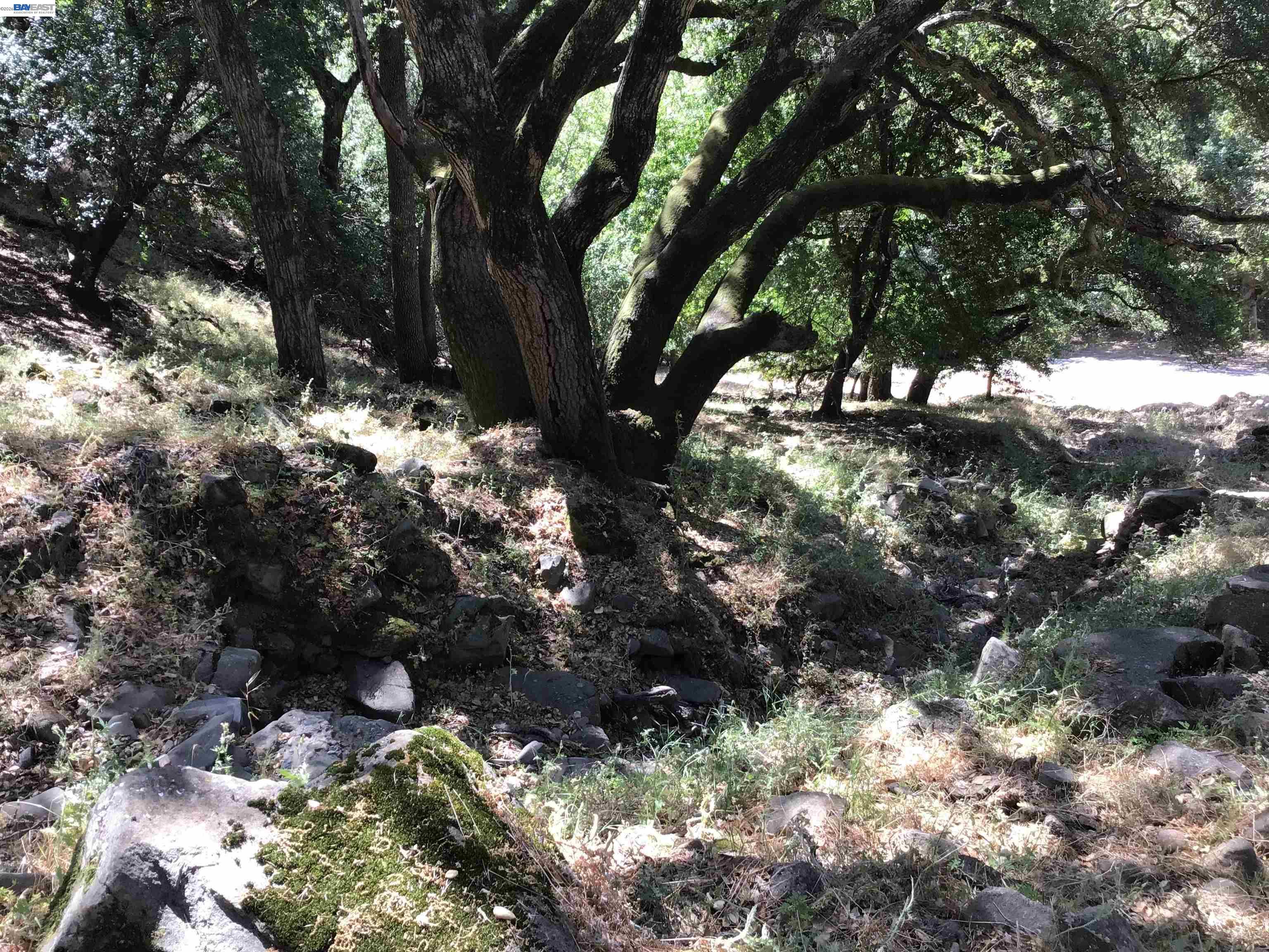 1929 Kilkare Road Sunol, CA 94586 - Photo 19 of 35