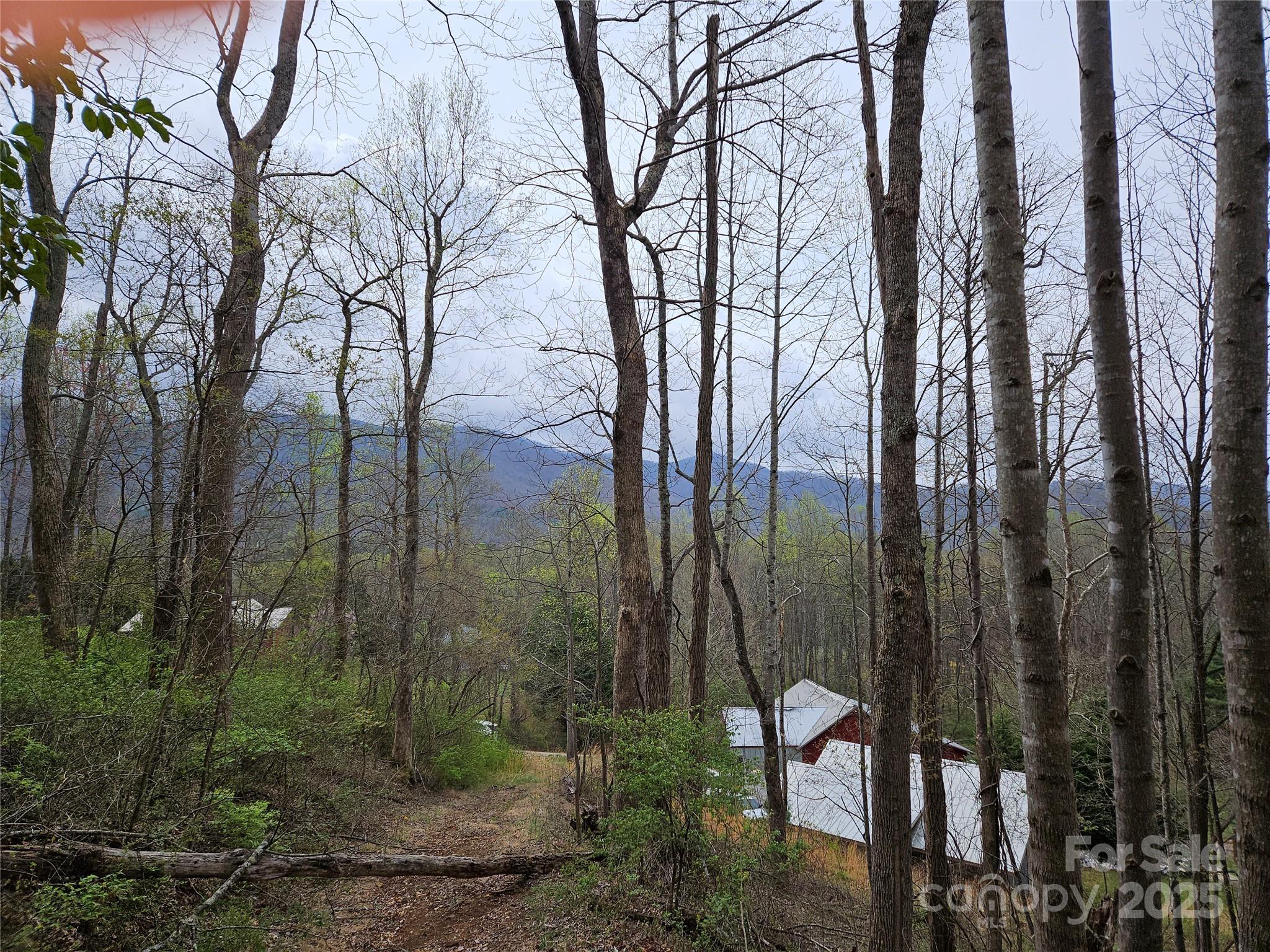 99999 Patton Hill Road, Unit 3 Swannanoa, NC 28778 - Photo 2 of 2