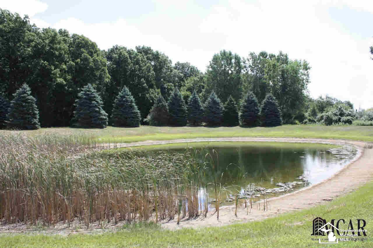 15183 West Albain Road Petersburg, MI 49270 - Photo 27 of 29 21202898-26.JPG