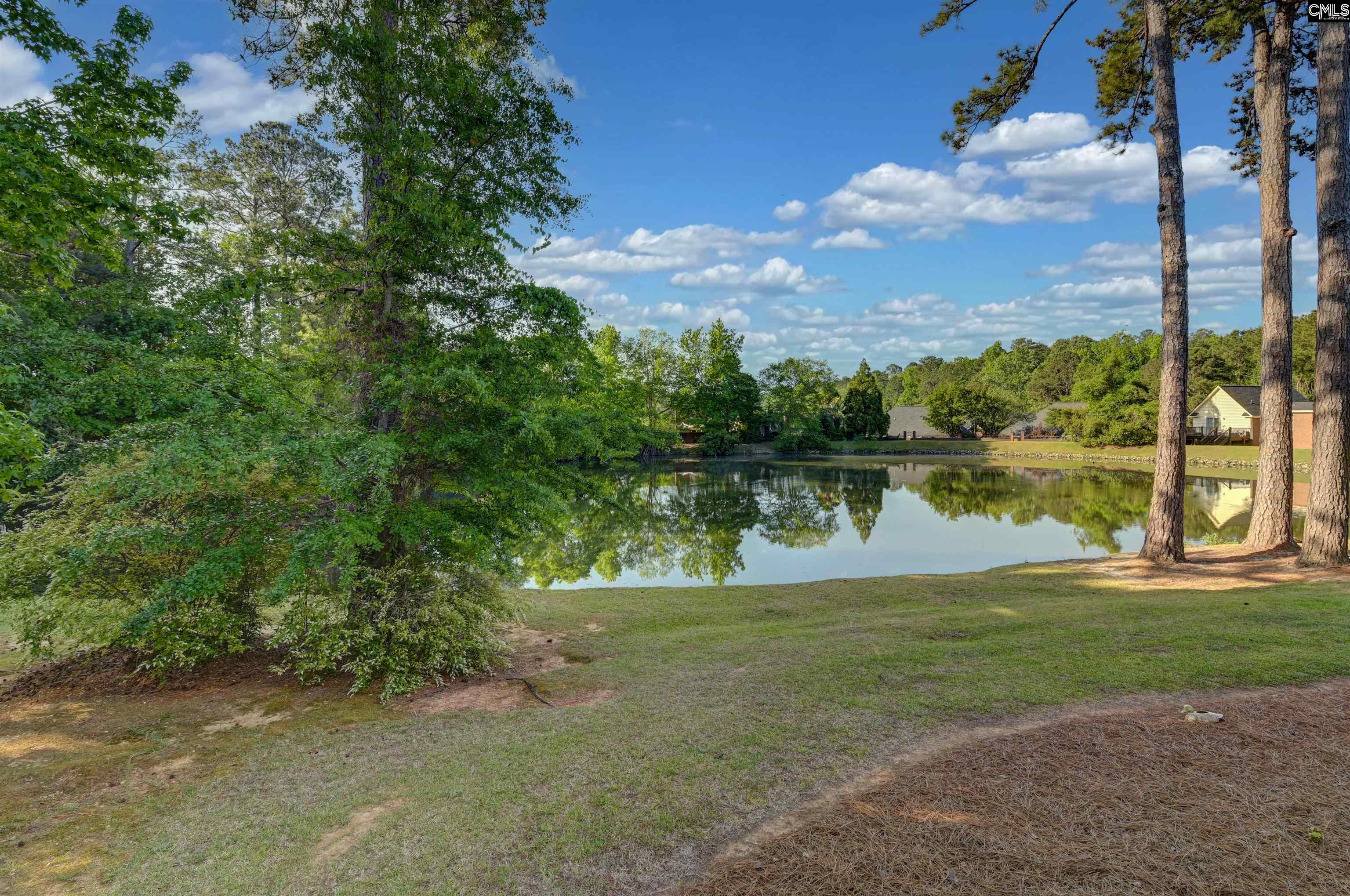 121 Wandering Brook Road Irmo, SC 29063 - Photo 9 of 47
