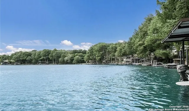 a view of lake and trees