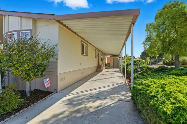 a house view with a garden