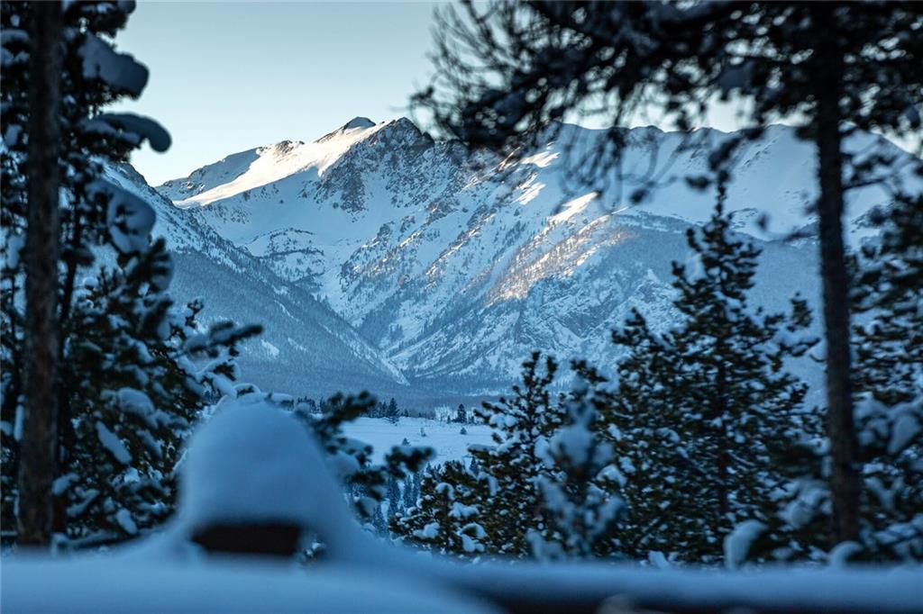 37 Wintergreen Circle Keystone, CO 80435 - Photo 2 of 35 a view of a tree in a yard