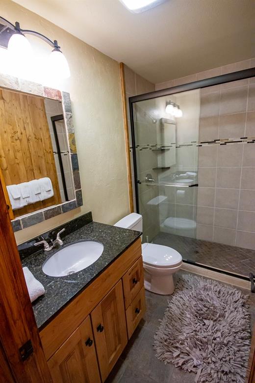 37 Wintergreen Circle Keystone, CO 80435 - Photo 22 of 35 a bathroom with a granite countertop sink toilet and shower