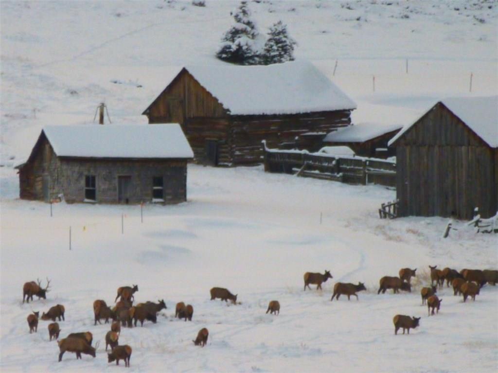 37 Wintergreen Circle Keystone, CO 80435 - Photo 31 of 35 a view of a workspace with furniture