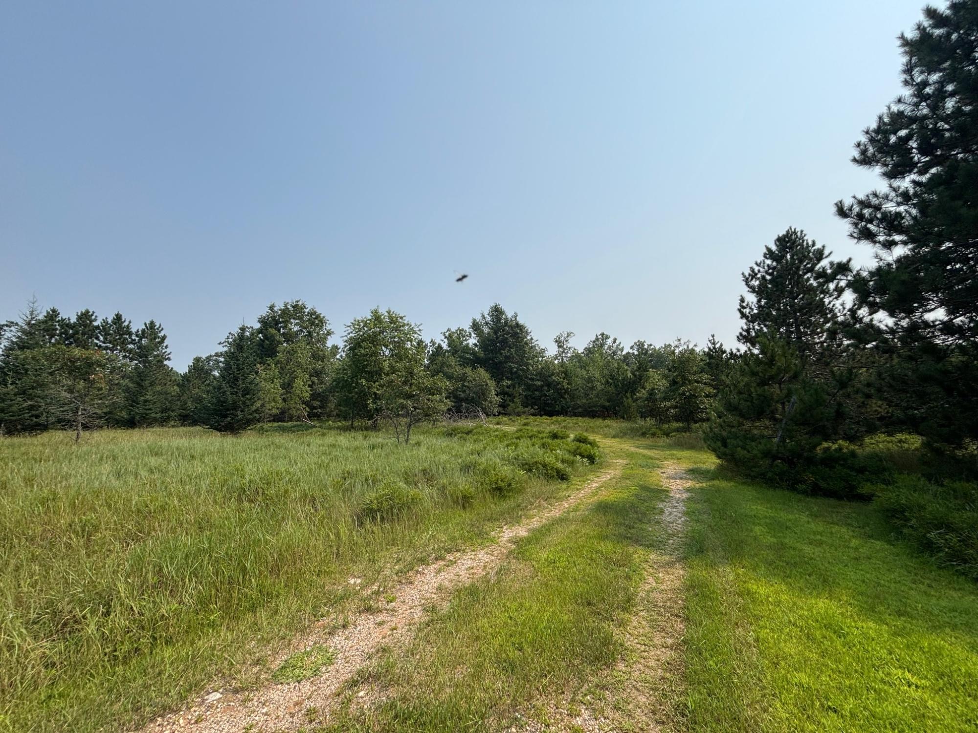 W10701 Sinkey Road Amberg, WI 54102 - Photo 21 of 24 Gallery Image 21