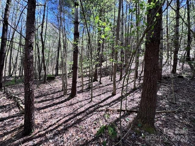 5045 Old Hickory Tree Road Morganton, NC 28655 - Photo 20 of 23 Gallery Image 20