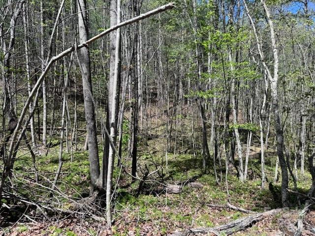5045 Old Hickory Tree Road Morganton, NC 28655 - Photo 23 of 23 Gallery Image 23